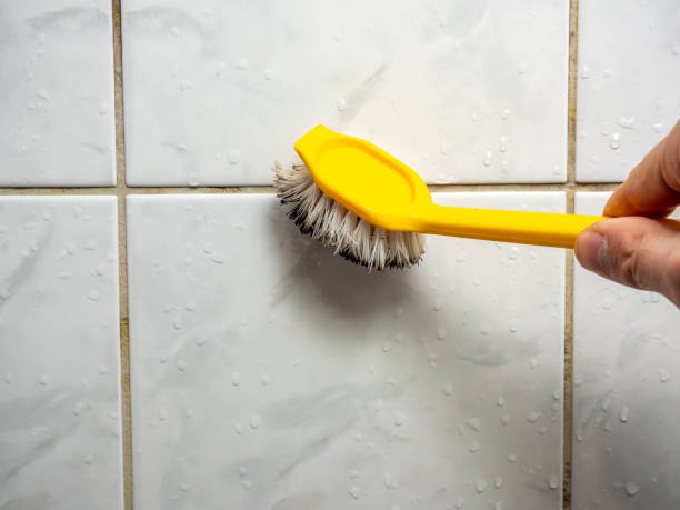 Best DIY Mold Remediation Support Services in East Norwich, NY
